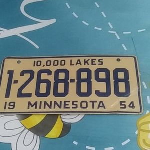 Minnesota Bicycle License Plate